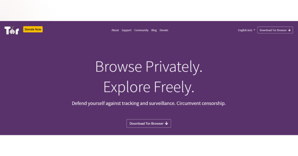 Is Tor Browser Safe